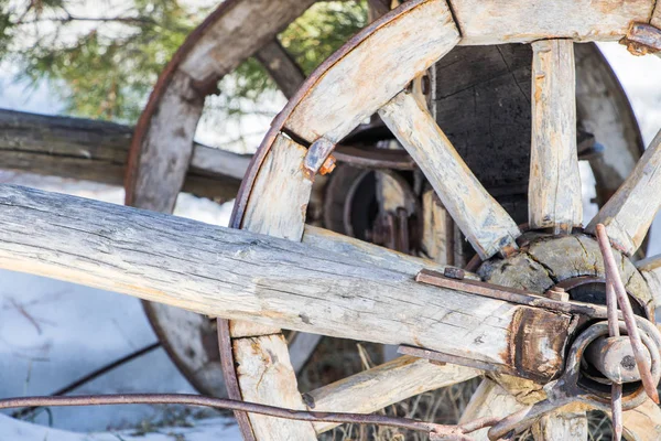 Old Wheel Cart Horses — Stock Photo, Image