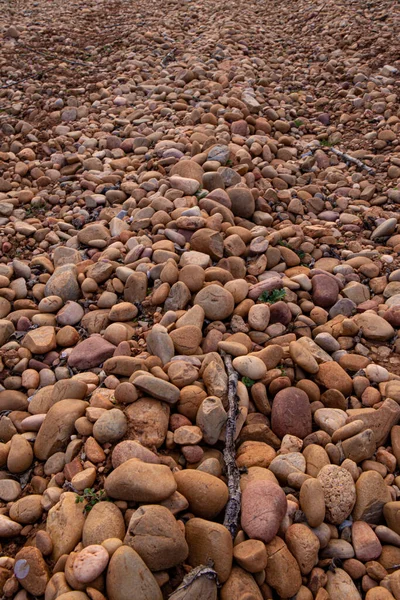 Field Stones Amidst Cherry Field Blossoming — Stock Photo, Image