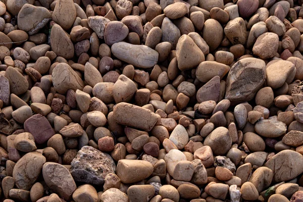 Field Stones Amidst Cherry Field Blossoming — Stock Photo, Image