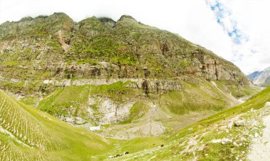 Himalayalar Chenab Nehri Vadisi. Aşağı akışı akışları içeren ormanları, başından beri büyümüş bir Dağları. Mera ve otlayan inekler aşağıdaki.