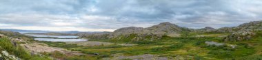 Arka planda, Rusya Kola Yarımadası sert hava, yeşil yosun ve likenler, kayalar, Barents Denizi tundra göllerde zinciridir