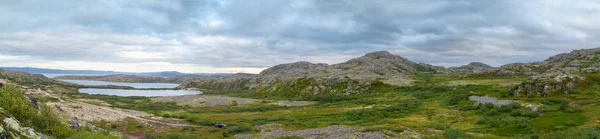 Arka planda, Rusya Kola Yarımadası sert hava, yeşil yosun ve likenler, kayalar, Barents Denizi tundra göllerde zinciridir