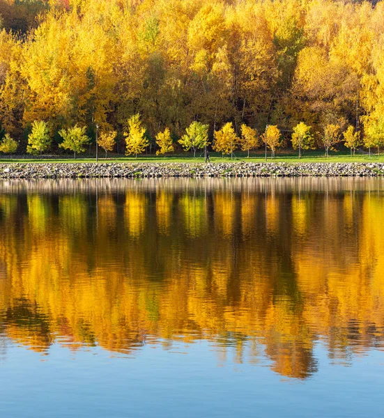 Renkli Sonbahar Sokak Boyunca Nehir Kıyısındaki Sonbahar Park Arka Plan — Stok fotoğraf