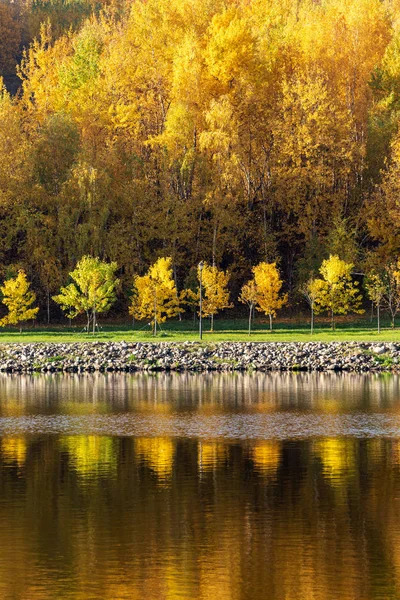 Renkli Sonbahar Sokak Boyunca Nehir Kıyısındaki Sonbahar Park Arka Plan — Stok fotoğraf