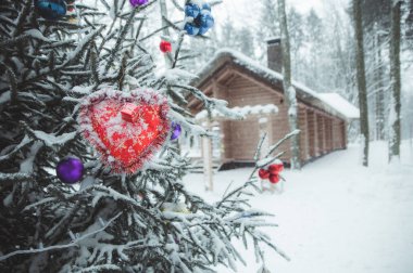 Noel süslemeleri Noel ağaçları ormanda