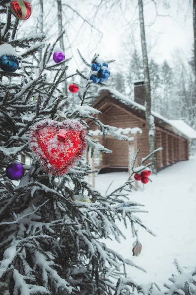 森の中でクリスマス ツリーのクリスマスの装飾 — ストック写真