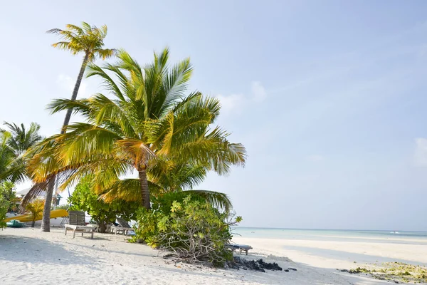 Όμορφη Maldive Beach Fun Island Palm Trees — Φωτογραφία Αρχείου