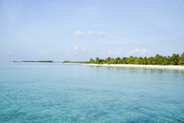 Güzel Maldiv Adası Palm Trees Sahili. Maldivler Cennet Sahili. Lüks seyahat yaz tatili. 