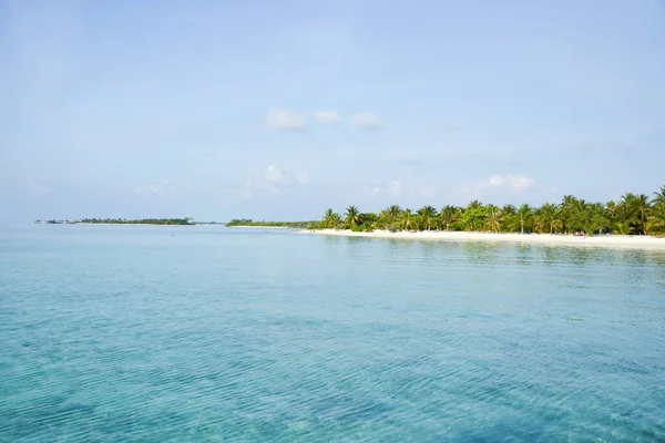 Όμορφη Maldive Island Palm Trees Beach Παραλία Του Παραδείσου Πολυτελή — Φωτογραφία Αρχείου