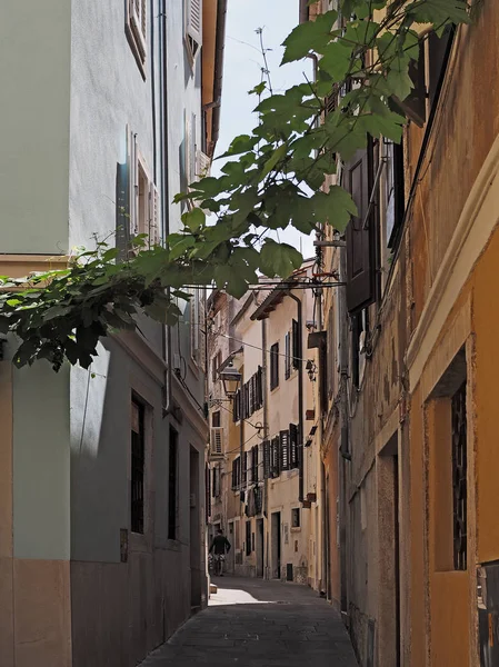 Rues Étroites Dans Centre Historique Ville Piran Istrie Slovène Sur Image En Vente