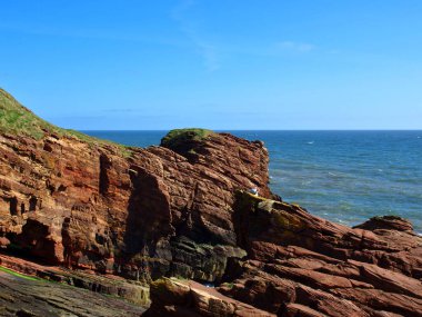 Arbroath 'daki yüksek uçurum. Arbroath, İskoçya - 06 Mayıs 2017 İskoçya 'nın Arbroath şehrinde Kuzey Denizi üzerindeki yüksek kayalık uçurum.