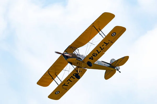 Місті Telford Великобританія Червня 2018 Фотографія Документування Самотній Тигра Метелик — стокове фото