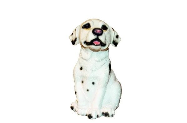 Ein Dalmatinischer Kleiner Spielhund — Stockfoto