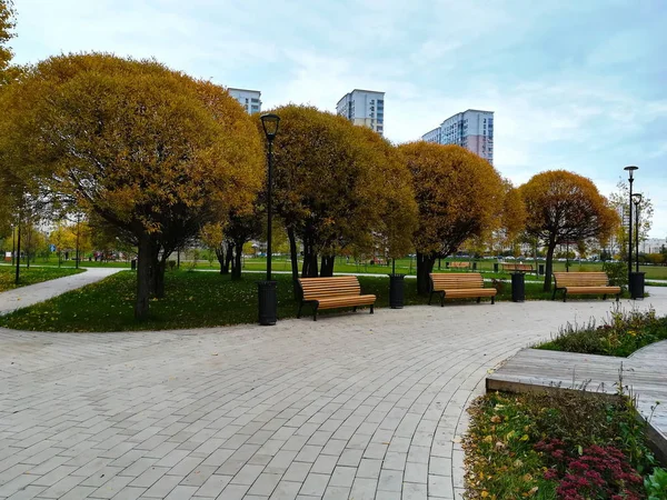 Sonbaharda Moskova Park, Güney Butovo'ya gölet