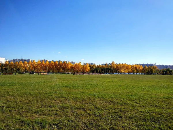 Sonbaharda Moskova Park, Güney Butovo'ya gölet