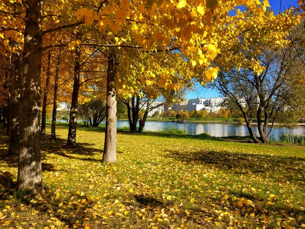 Sonbaharda Moskova Park, Güney Butovo'ya gölet