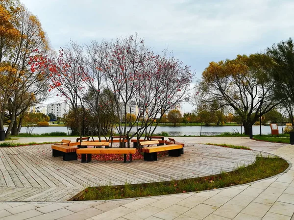 Sonbaharda Moskova Park, Güney Butovo'ya gölet
