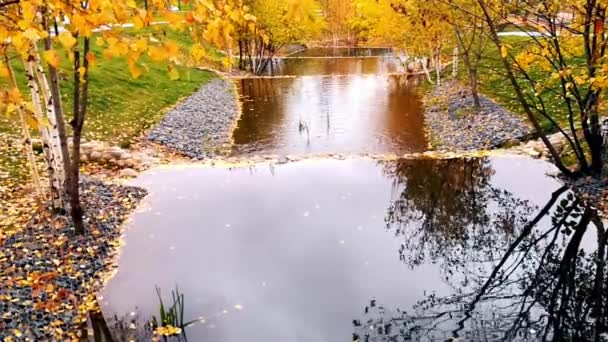 Σχεδιασμό Τοπίου Στην Μόσχα Πάρκο Νότιας Butovo Φθινόπωρο — Αρχείο Βίντεο