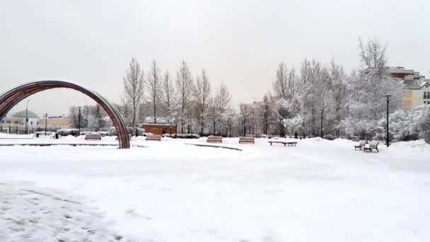 Schneeflocken Auf Den Zweigen Spaziergang Moskau — Stockvideo