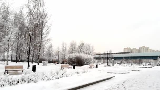 Schneeflocken Auf Den Zweigen Spaziergang Moskau — Stockvideo