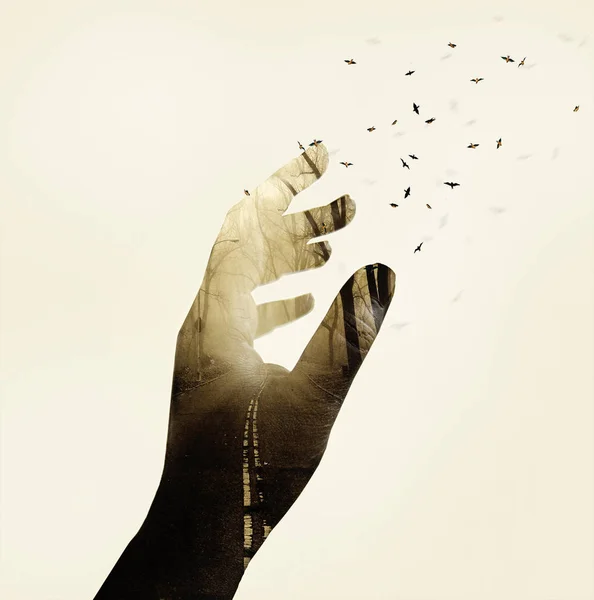 Life Transformation Concept Butterflies Flying Out Black Hand — Stock Photo, Image