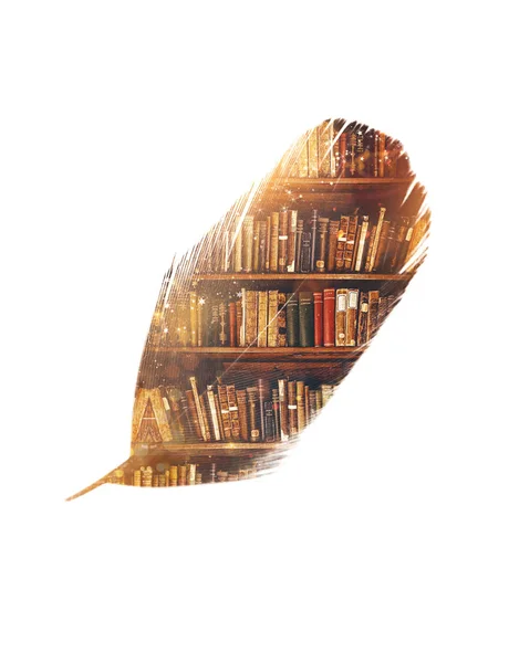 古い本と羽毛の二重露光棚はフェアリー ライトおよび輝きで 魔法の世界の知識と教育の概念 — ストック写真