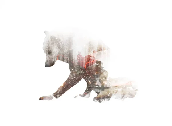 Double Exposure Wolf Silhouette Woman Red Coat Mystical Dramatic Forest — Stock Photo, Image