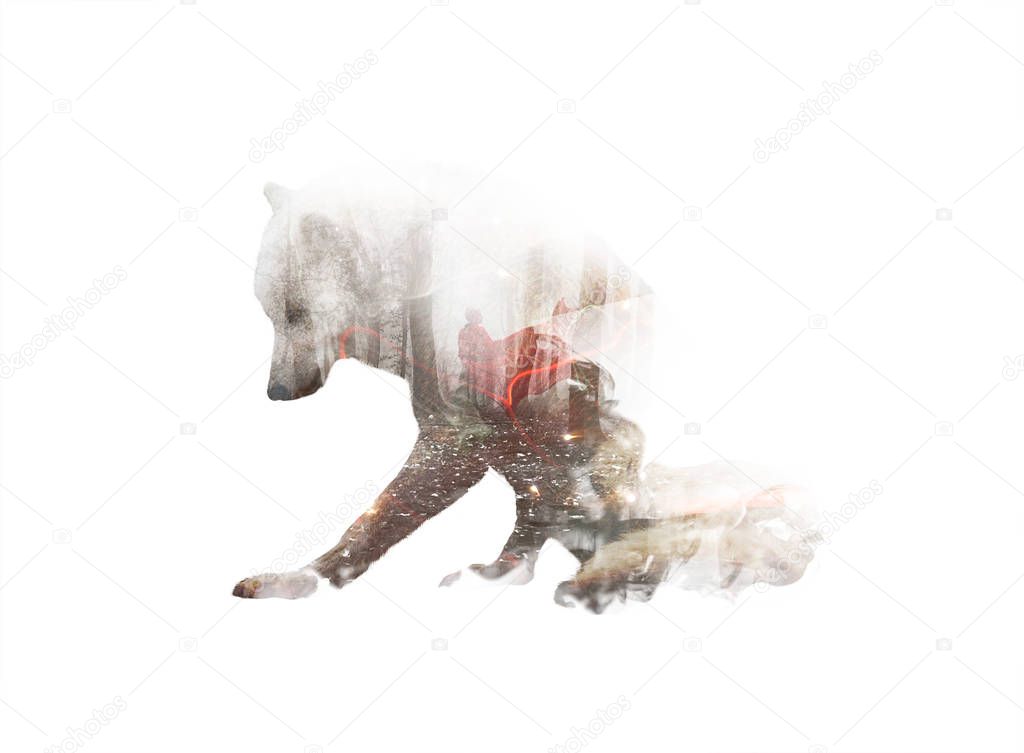 Double exposure of wolf silhouette with woman in red coat in mystical dramatic forest. Unity of human and nature. Fantasy book cover concept