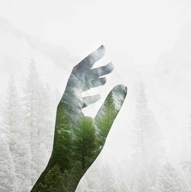 Double exposure effects on hand silhouette with green forest and mountains landscape. Save planet green concept clipart