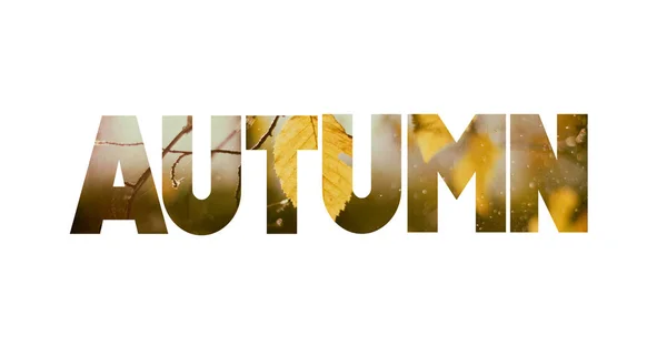 Wort Herbst Mit Natürlichen Hintergrundbildern Doppelbelichtung Isoliert Auf Weiß — Stockfoto