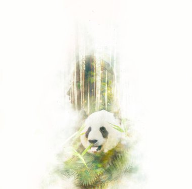 Genç düşünceli kadın portresi soyut çift pozlama yeşil yaprakları ayı panda fotoğrafı ile birlikte. İnsan doğa ile birlik gösterilen kavramsal görüntü. Ekoloji, çevre, yaban hayatı