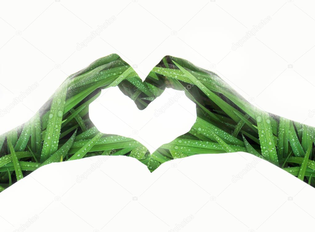 Double exposure effects on a silhouette of two hands in a shape of heart with green leaves background. Conceptual image as a symbol of love and care of nature and ecology. Save planet green. Isolated