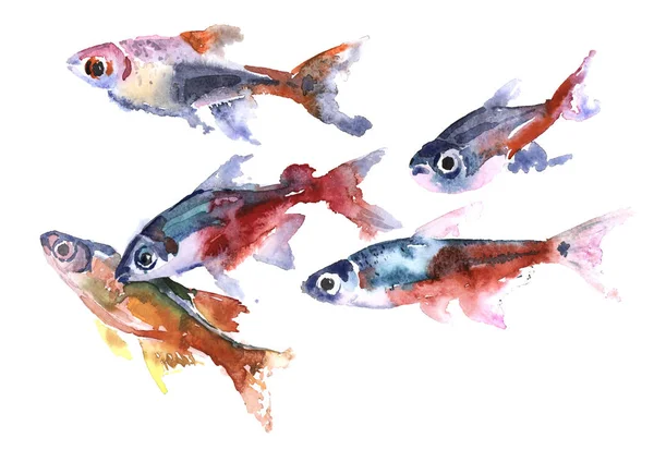 Акварельная Иллюстрация Красочных Мелких Рыбок — стоковое фото