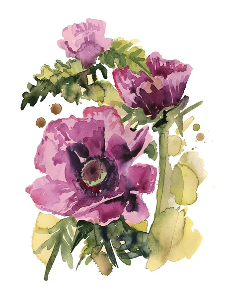 Ilustração Aquarela Flores Poppies Violeta Decorativo — Fotografia de Stock