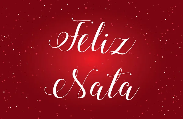 Illustrazione Feliz Nata — Foto Stock