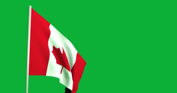 Acenando Bandeira Animação Canadá — Vídeo de Stock