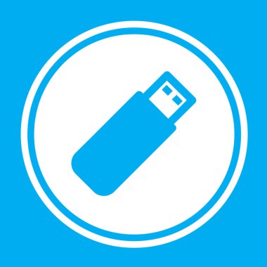 Resimli Simge Arka Planda İzole - Usb Stick