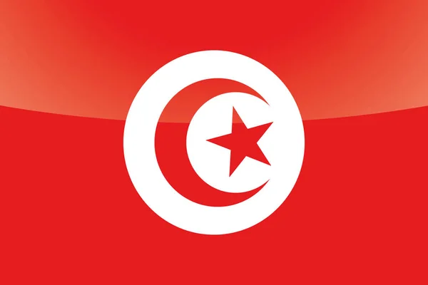 Иллюстрированный глянцевый флаг Туниса — стоковый вектор