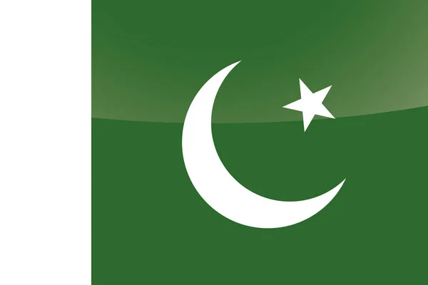 Pakistans nasjonalflagg (Illustrated Glossy Country Flag) – stockvektor