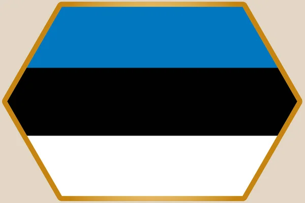 Hexágono alargado con la bandera de Estonia — Archivo Imágenes Vectoriales