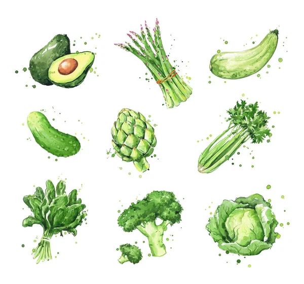Асортимент Зелених Продуктів Акварельні Вегетаріанські Ілюстрації Розфарбовані Вручну — стокове фото