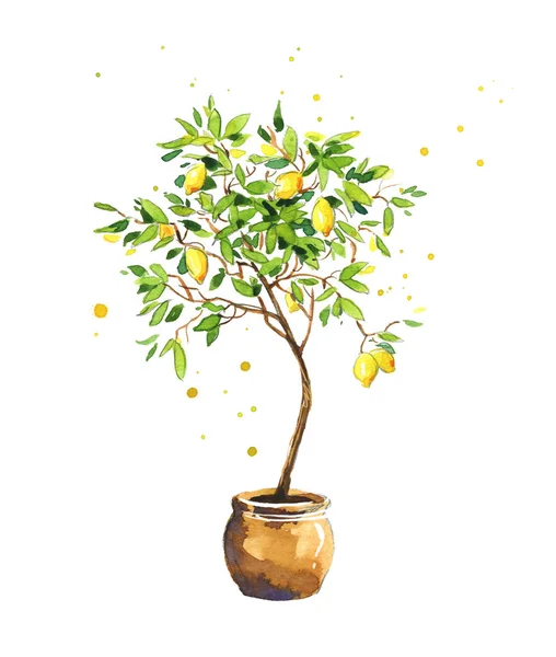 柠檬树 水彩画 — 图库照片