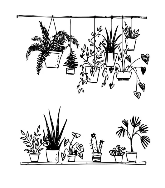 鉢植えの家の植物 ベクター スケッチ セット — ストックベクタ