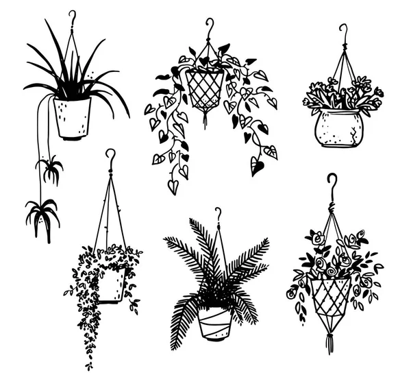 Set Potted House Plants Vector Sketch — Stock Vector