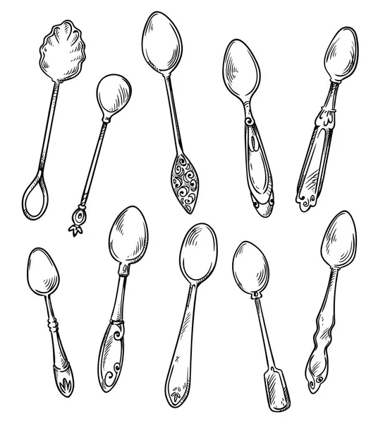 Set Spoons Vector Hand Drawn Illustration — Stock Vector