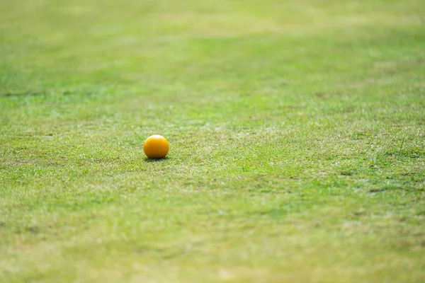 Bowls or lawn bowls is a sport in which the objective is to roll biased balls so that they stop close to a smaller ball called a jack or kitty