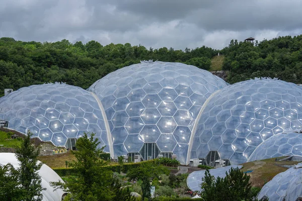 The Eden Project is a visitor attraction in Cornwall, England, UK. Inside the two biomes are plants that are collected from many diverse climates and environments — Stock Photo, Image
