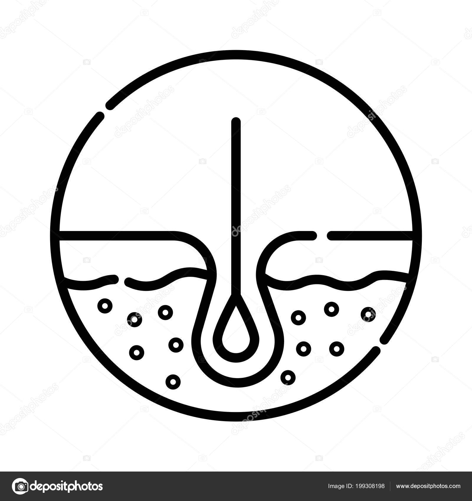 Hair Icon Isolated Human Removal Grow Medical Bulb Stock Vector