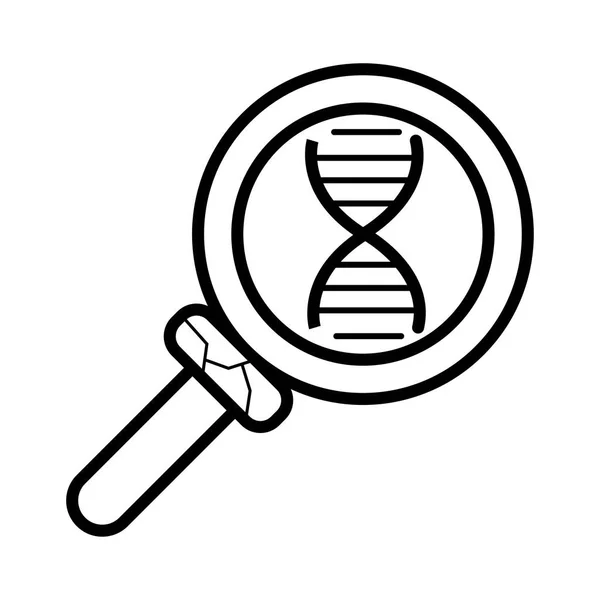 Explore Dna Rounded Icon — Stock Vector