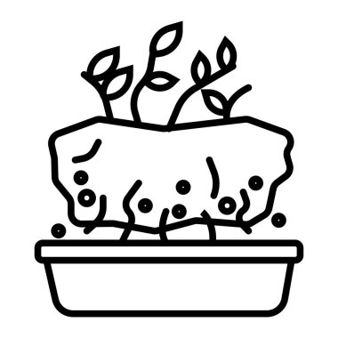 çiçek fide için daha büyük bir pot